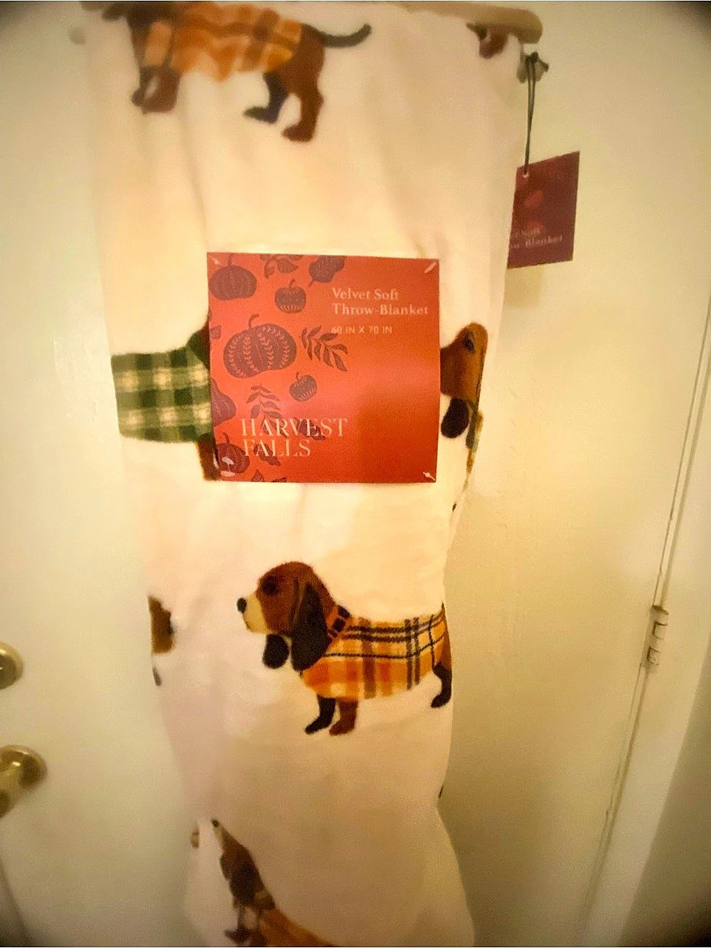 Harvest Falls Velvet Soft Throw Blanket Pumpkin Dog White & Orange NWT